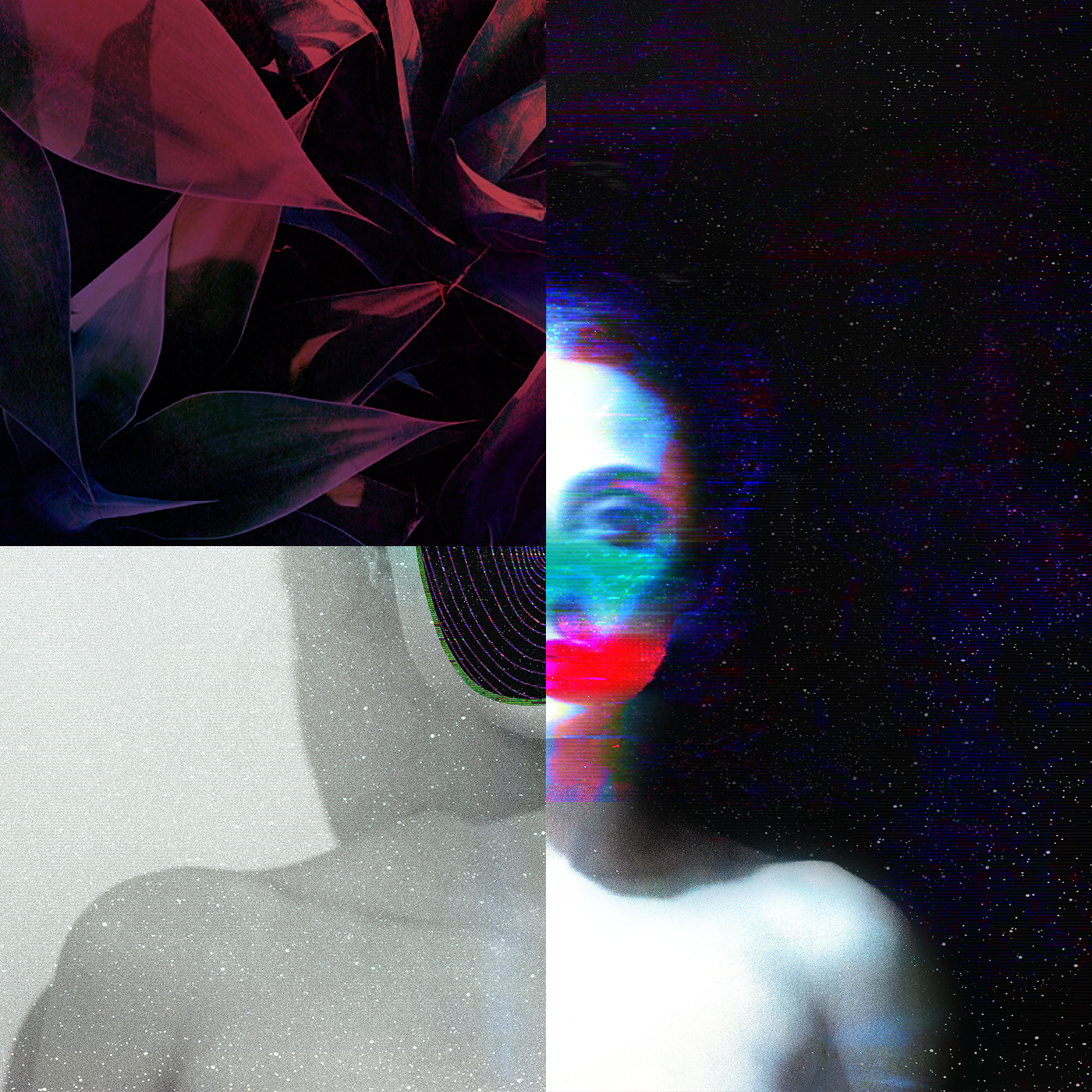 Collage featuring 3 pieces. A purple garden, the shoulder of a woman and half body of another woman with the face blurred in blue and red