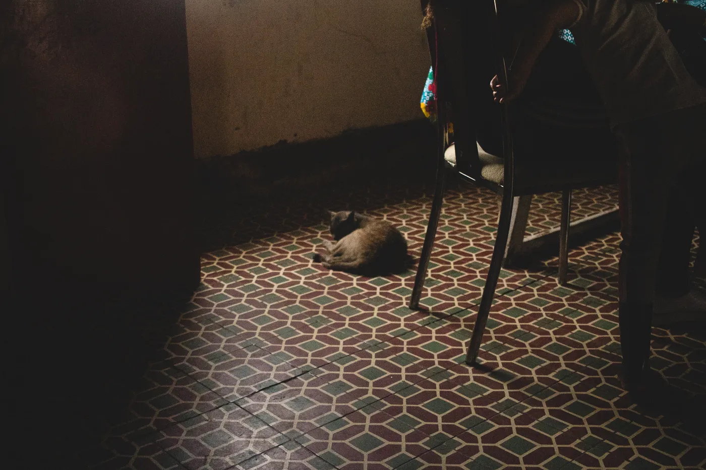Documentary Photography of a Domestic Scene – Cat Resting on Patterned Tile Floor by Rodrigo Baumgratz In this intimate photograph by Rodrigo Baumgratz, a resting cat is captured in a shaft of natural light on a retro patterned tile floor. The surrounding dimness and partial human presence suggest a quiet, lived-in interior, blending animal stillness with understated narrative. Ideal for portfolios focused on documentary-style photography, everyday poetry, or spatial storytelling, this image highlights detail, composition, and atmosphere with cinematic restraint.
